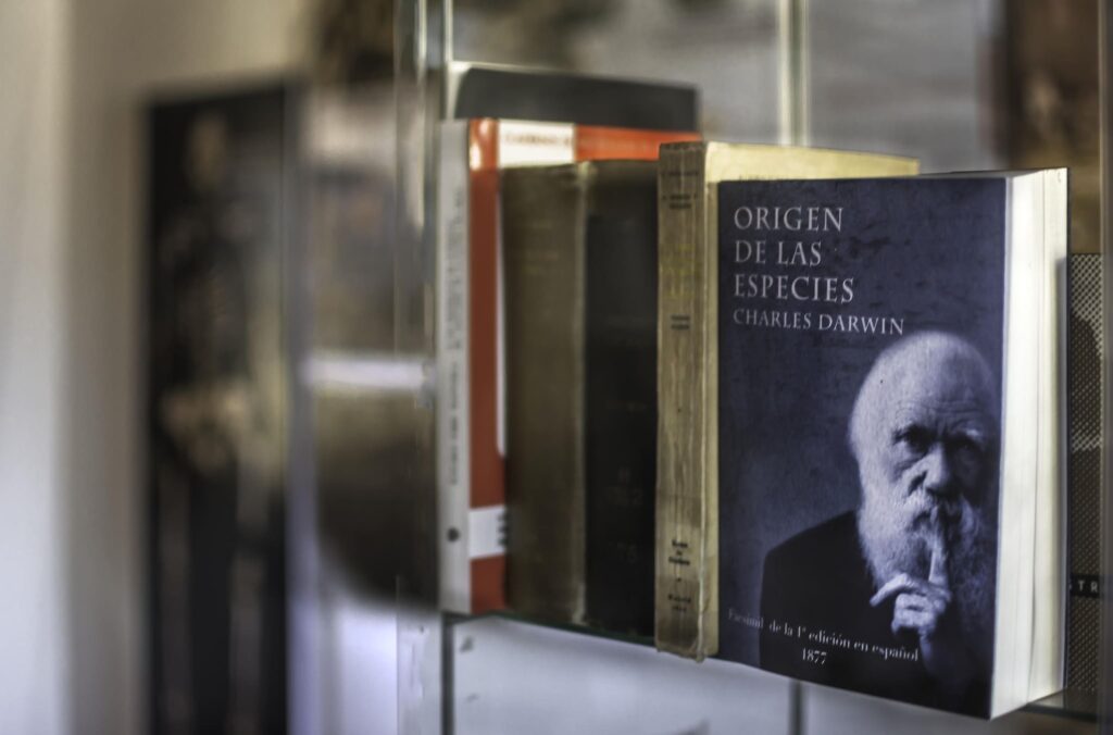 Mancomunidad-Encuentro-de-Caminos-PIC (6)